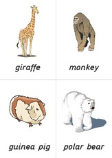 flashcard - zoo 03.pdf